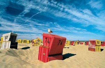 Langeoog: sillón de playa con gaviota